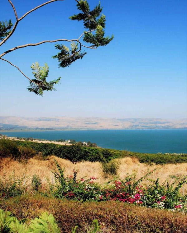 Tabariya Views